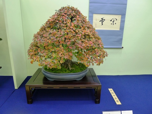 241123-0703.JPG