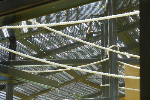 p1120890-0204.JPG