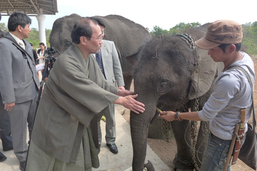 １１月１７日ゾウが京都市動物園に来園！　京都信用金庫から１億円のご支援　感謝　記者会見