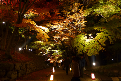 紅葉が最高！　毘沙門堂ライトアップ