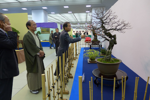 見事な盆栽の数々を堪能　日本盆栽大観展