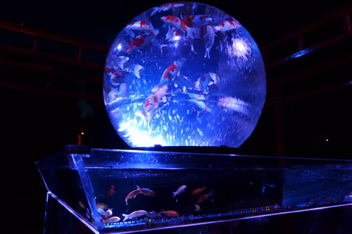 今秋（10/23～12/13）も開催が決定！　「アートアクアリウム城」＠世界遺産・二条城
