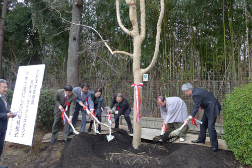 鴨川ライオンズクラブの皆さんが植物園前 半木の道に紅しだれ桜を植樹