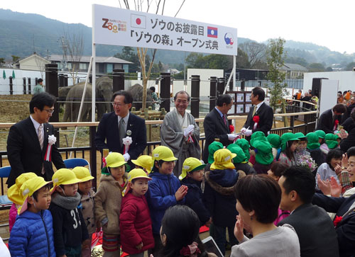 かわいい！子どもたちの歓声！４頭の子ゾウのお披露目　国内最大規模の「ゾウの森」オープン　皆さんのご尽力に深謝