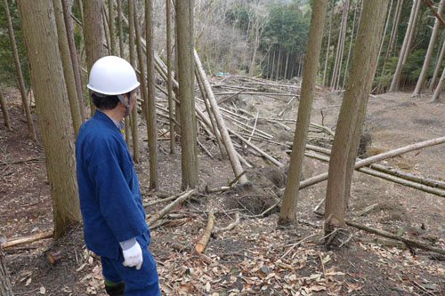 三山の景観を保全・継承へ　鹿ヶ谷で森づくり活動　険しい坂道を登り、足がガクガクに（笑）