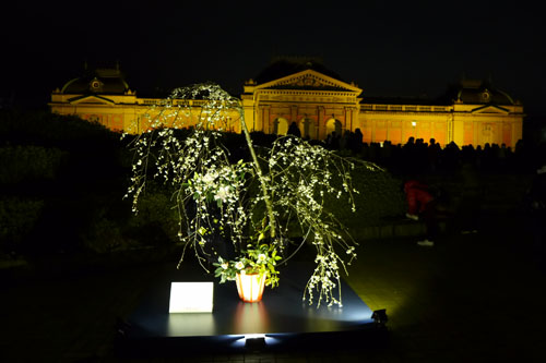 琳派４００年記念プロジェクションマッピング×未生流笹岡いけばな展　春宵の花逢い記念