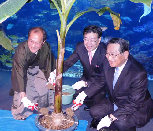 市動物園・府植物園・京都水族館３園交流連携協定を締結　「いのちかがやく」がコンセプト