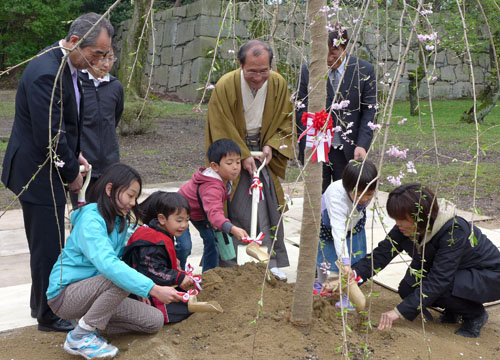 子どもたちと共に「福島の桜」を二条城に植樹　ふくしまサクラモリプロジェクト