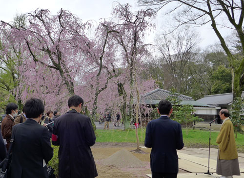 子どもたちと共に「福島の桜」を二条城に植樹　ふくしまサクラモリプロジェクト