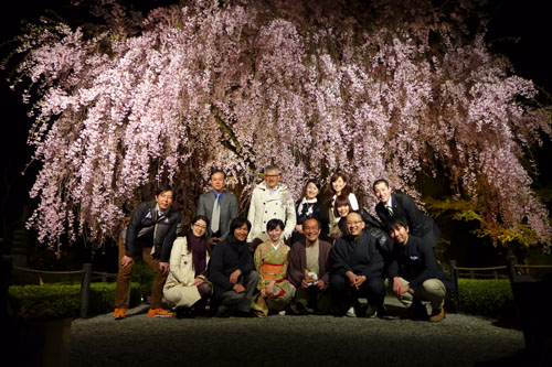 夜桜の美しさに感激！　妙心寺退蔵院