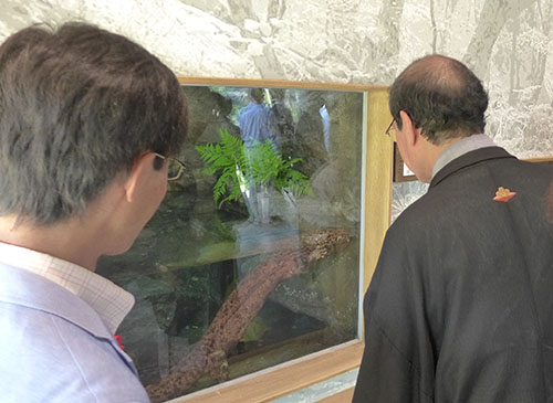 京都の自然を市動物園に再現！　「京都の森」がオープン！　オオサンショウウオ、絶滅危惧種イチモンジタナゴなど４６種１３５点の京都の動物が