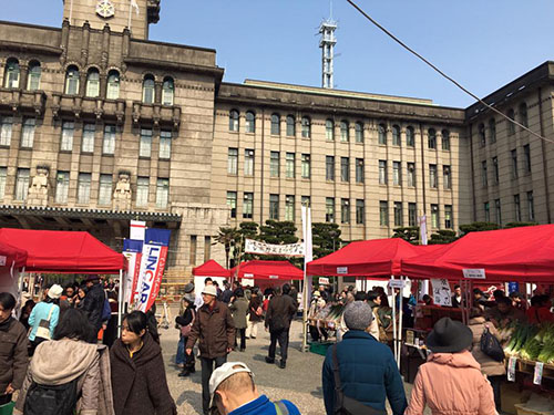 京の食文化を学び・味わう　冬の京野菜まつり　農作物品評会＠京都市役所前広場